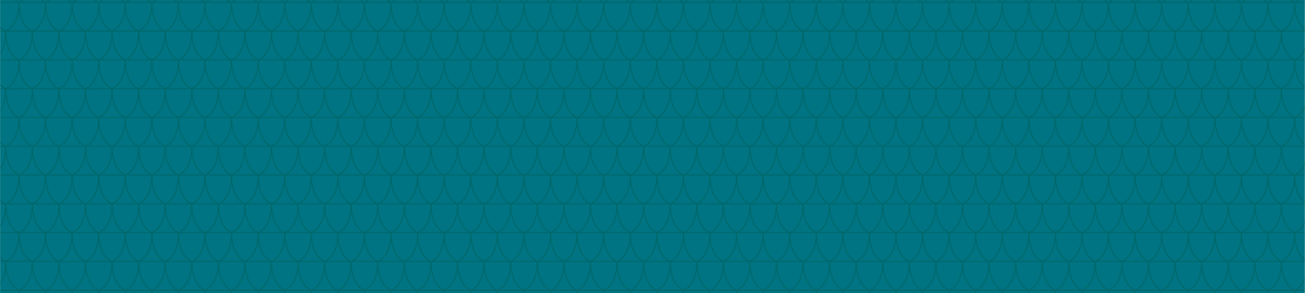 Teal Banner